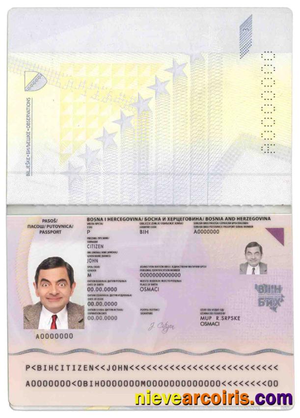 Bosnia and Herzegovina passport